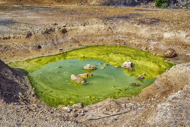 Why Use Lee’s for Spill Cleanups​