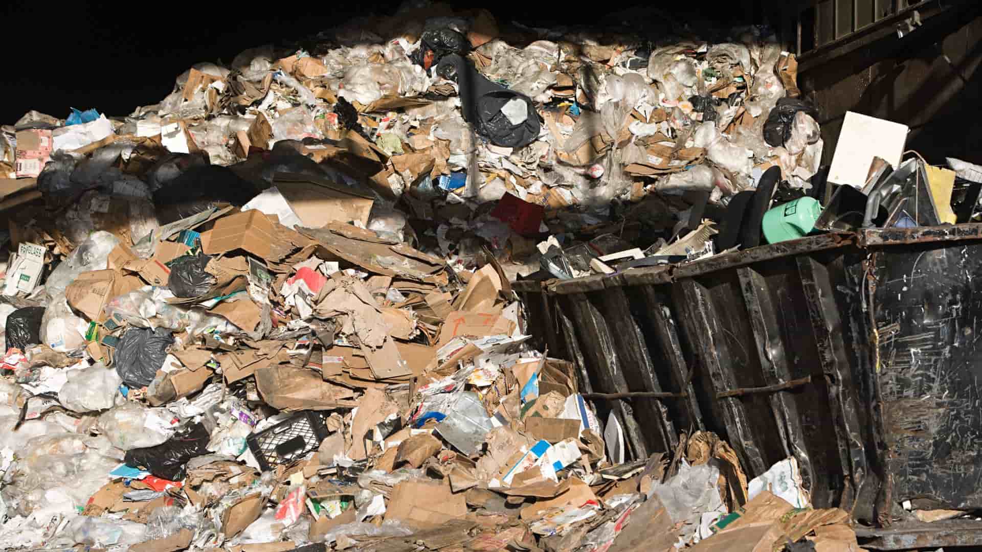 Top Waste and Disposal Options for Businesses-min