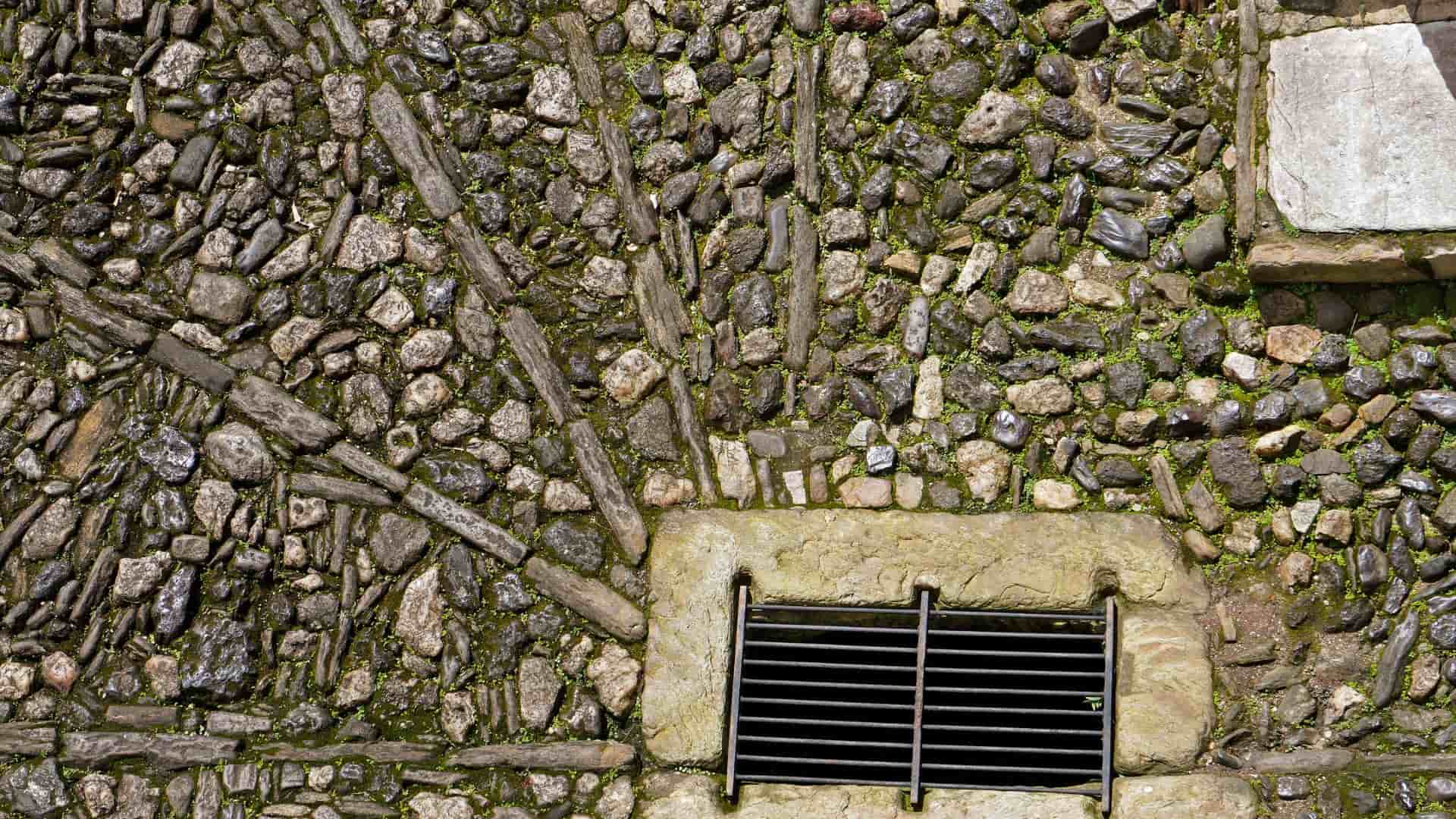 Residential Septic Tank Cleaning Processes