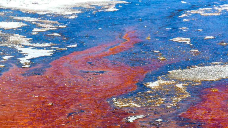 When to Call an Emergency and Spill Response Team