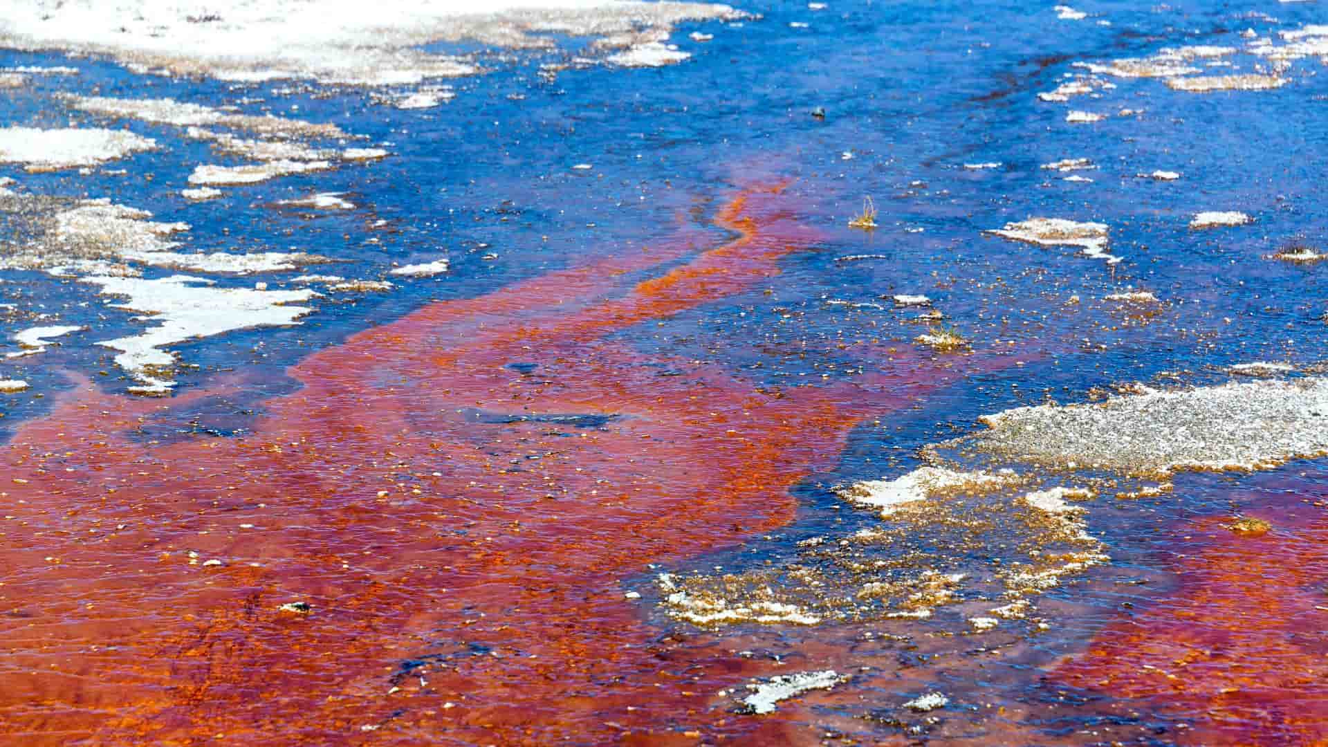 When to Call an Emergency and Spill Response Team